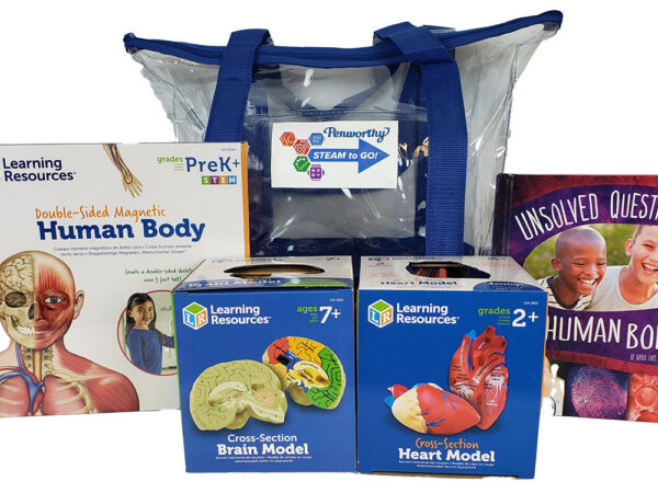 Human Body Exploration Kit