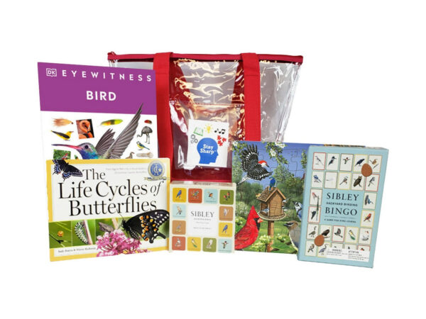Things that Fly: Birds & Butterflies Kit
