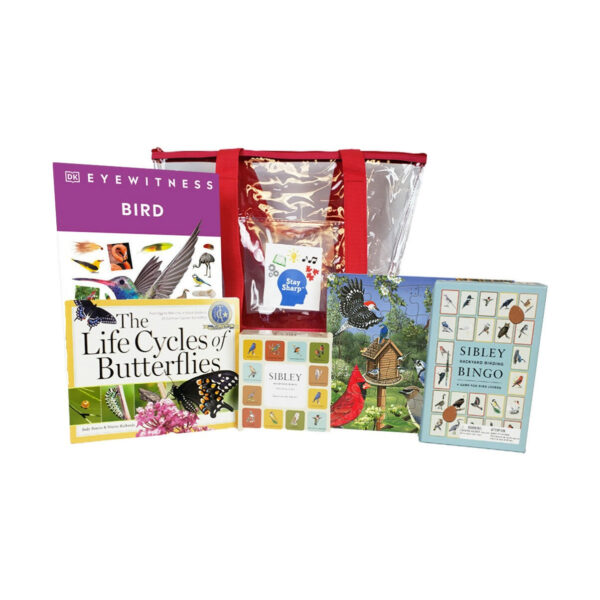 Things that Fly: Birds & Butterflies Kit