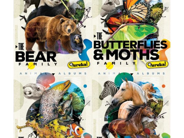 Animal Albums #2