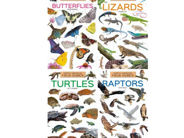 North American Field Guide #3