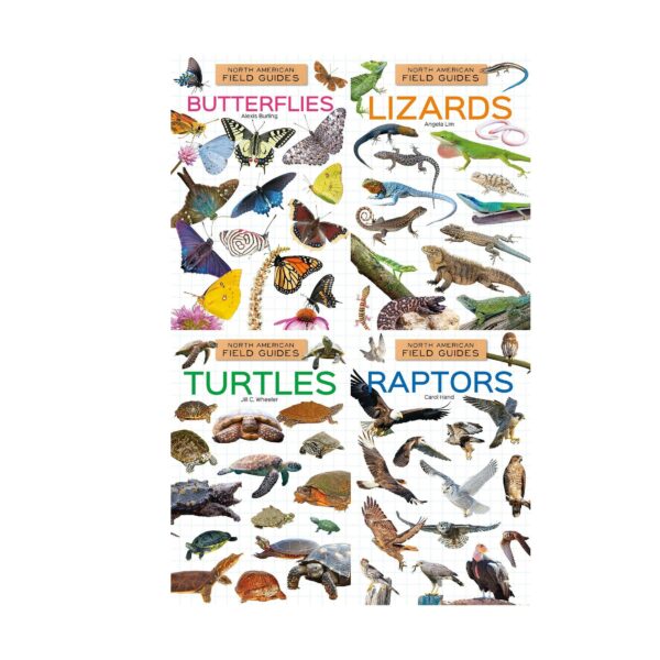 North American Field Guide #3