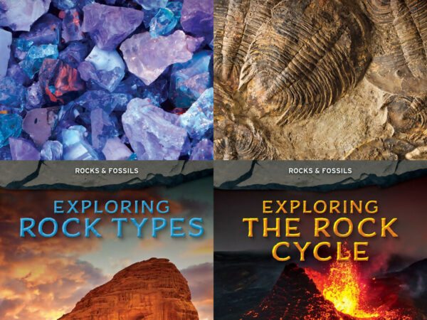 Rocks & Fossils