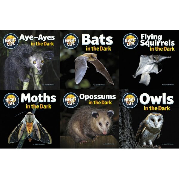 Animals After Dark